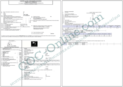 EC Certificate of Conformity DS