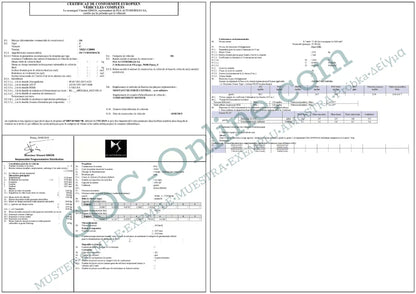 EC_Certificate_Conformity_DS