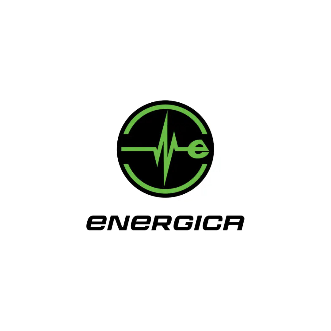 EC Certificate of Conformity ENERGICAMOTOR