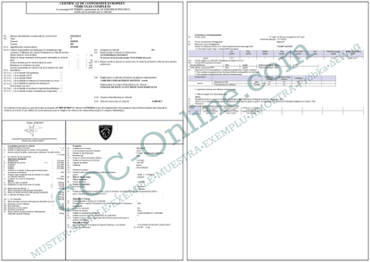 EC Certificate of Conformity PEUGEOT