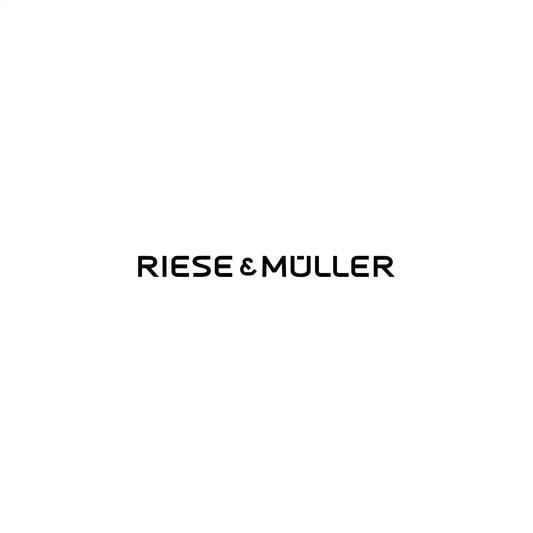 EC Certificate of Conformity RIESE & MULLER